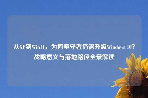 从XP到Win11,为何坚守者仍需升级Windows 10?战略意义与落地路径全景解读