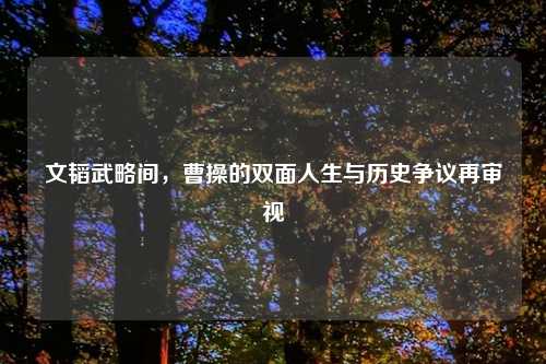 文韬武略间，曹操的双面人生与历史争议再审视
