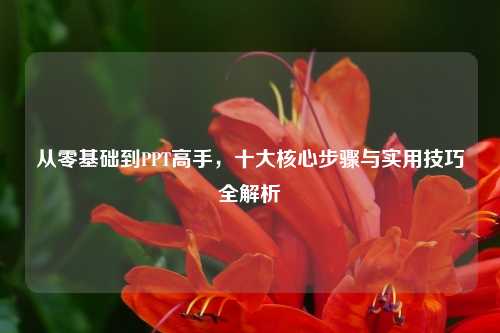 从零基础到PPT高手，十大核心步骤与实用技巧全解析