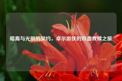 暗裔与光明的契约,卓尔游侠的双面救赎之旅