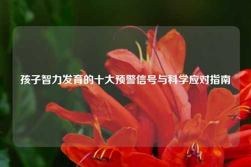 孩子智力发育的十大预警信号与科学应对指南