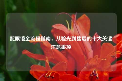 配眼镜全流程指南,从验光到售后的十大关键注意事项