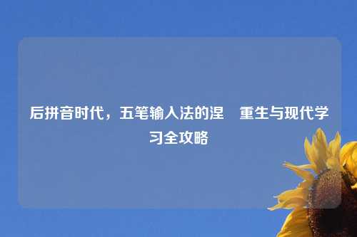 后拼音时代，五笔输入法的涅槃重生与现代学习全攻略