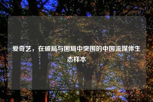 爱奇艺,在破局与困局中突围的中国流媒体生态样本