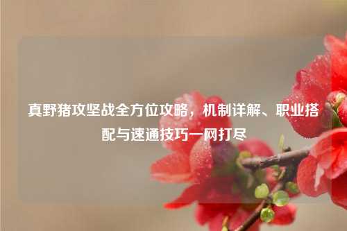 真野猪攻坚战全方位攻略，机制详解、职业搭配与速通技巧一网打尽