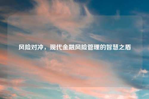 风险对冲，现代金融风险管理的智慧之盾
