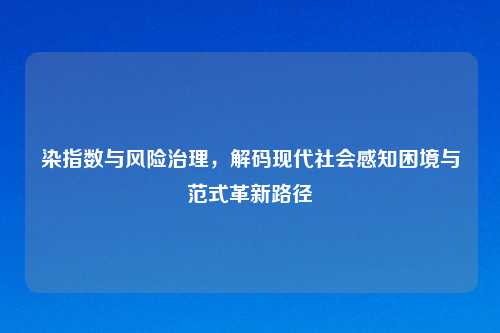 染指数与风险治理，解码现代社会感知困境与范式革新路径