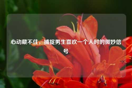 心动藏不住,捕捉男生喜欢一个人时的微妙信号