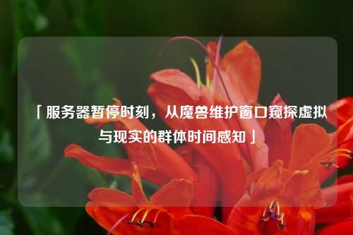 「服务器暂停时刻，从魔兽维护窗口窥探虚拟与现实的群体时间感知」