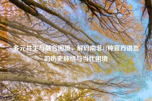 多元共生与融合困境，解码南非11种官方语言的历史脉络与当代困境