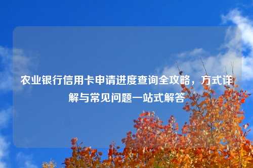 农业银行信用卡申请进度查询全攻略,方式详解与常见问题一站式解答