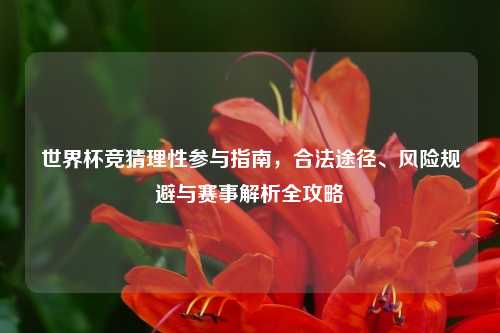 世界杯竞猜理性参与指南，合法途径、风险规避与赛事解析全攻略