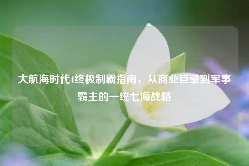 大航海时代4终极制霸指南，从商业巨擘到军事霸主的一统七海战略