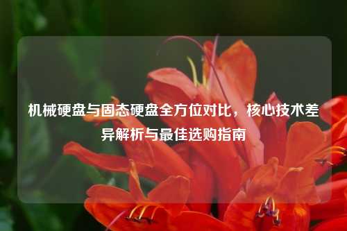 机械硬盘与固态硬盘全方位对比，核心技术差异解析与最佳选购指南