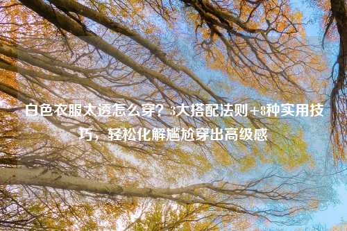 白色衣服太透怎么穿？3大搭配法则+8种实用技巧，轻松化解尴尬穿出高级感