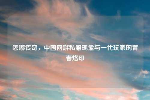 嘟嘟传奇,中国网游私服现象与一代玩家的青春烙印