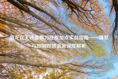 御龙在天铁血霸刀技能加点实战指南——爆发与控制双修流派深度解析