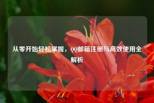 从零开始轻松掌握，QQ邮箱注册与高效使用全解析