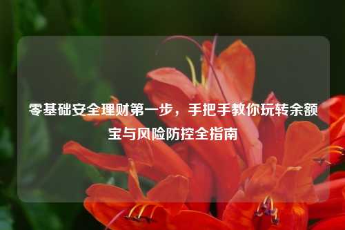 零基础安全理财第一步,手把手教你玩转余额宝与风险防控全指南