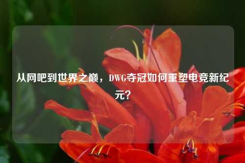 从网吧到世界之巅,DWG夺冠如何重塑电竞新纪元?