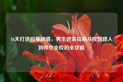 16天打造校草颜值，男生逆袭指南从校园路人到帅炸全校的全攻略