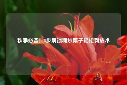 秋季必备!5步解锁糖炒栗子轻松剥皮术