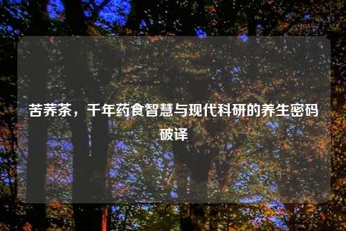 苦荞茶,千年药食智慧与现代科研的养生密码破译