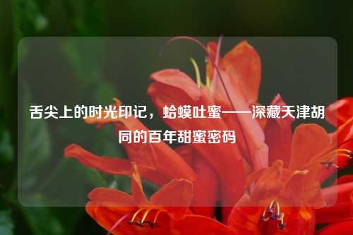 舌尖上的时光印记，蛤蟆吐蜜——深藏天津胡同的百年甜蜜密码