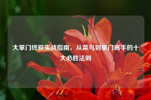 大掌门终极实战指南，从菜鸟到掌门高手的十大必胜法则