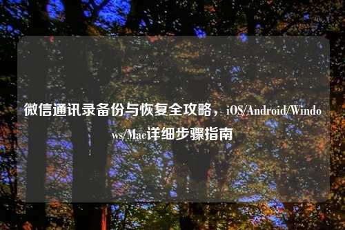 微信通讯录备份与恢复全攻略,iOS/Android/Windows/Mac详细步骤指南