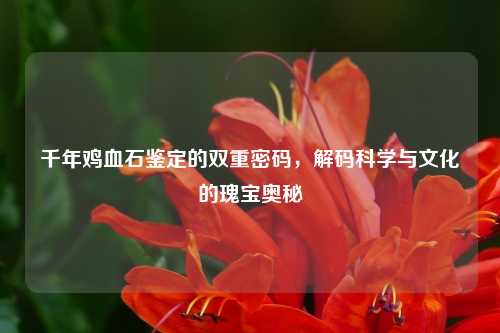 千年鸡血石鉴定的双重密码，解码科学与文化的瑰宝奥秘