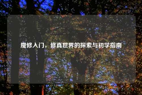 魔修入门，修真世界的探索与初学指南