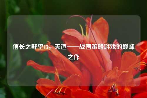 信长之野望13，天道——战国策略游戏的巅峰之作