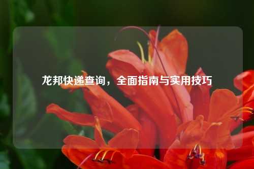 龙邦快递查询，全面指南与实用技巧