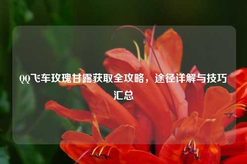 QQ飞车玫瑰甘露获取全攻略，途径详解与技巧汇总