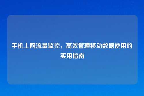 手机上网流量监控，高效管理移动数据使用的实用指南