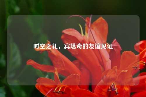 时空之礼,宾塔奇的友谊见证