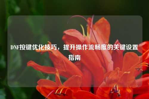 DNF按键优化技巧，提升操作流畅度的关键设置指南