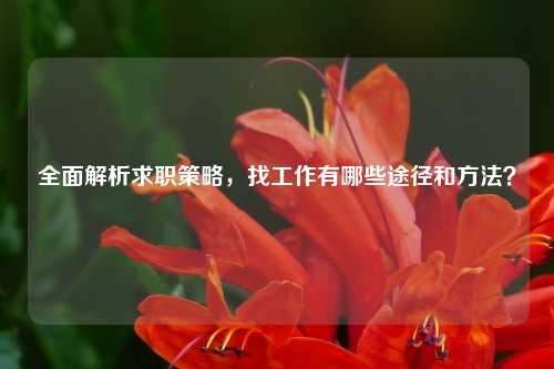 全面解析求职策略，找工作有哪些途径和方法？