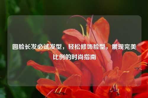 圆脸长发必试发型,轻松修饰脸型,展现完美比例的时尚指南