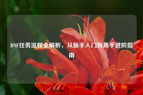 DNF任务流程全解析，从新手入门到高手进阶指南