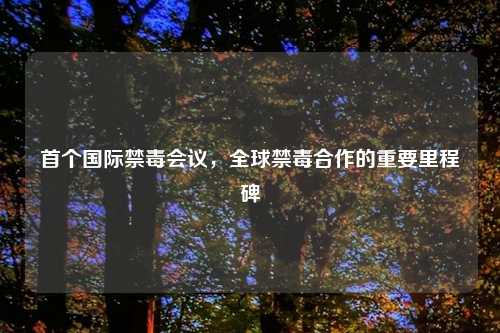 首个国际禁毒会议，全球禁毒合作的重要里程碑