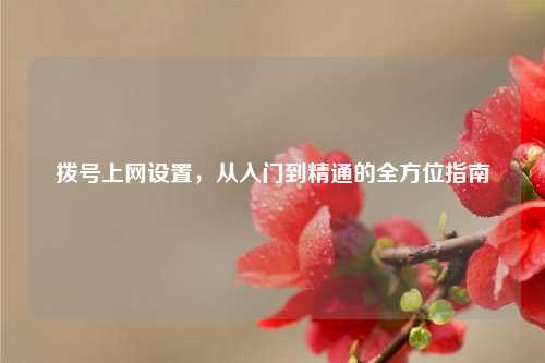 拨号上网设置，从入门到精通的全方位指南