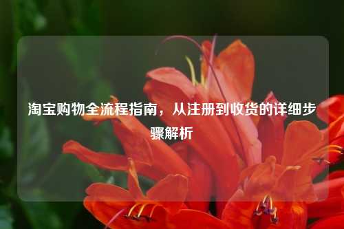 淘宝购物全流程指南，从注册到收货的详细步骤解析