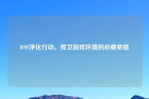 DNF净化行动，捍卫游戏环境的必要举措