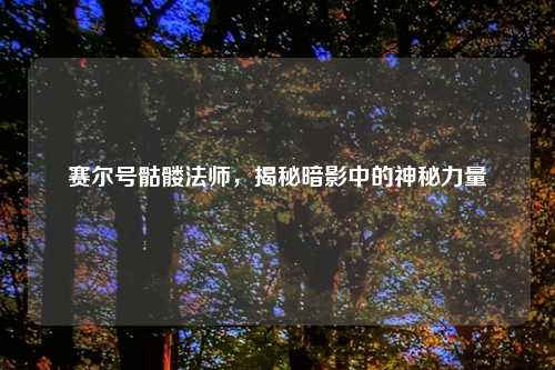 赛尔号骷髅法师，揭秘暗影中的神秘力量