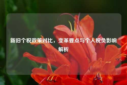 新旧个税政策对比，变革要点与个人税负影响解析