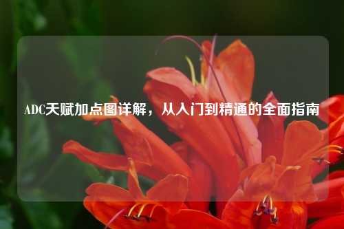 ADC天赋加点图详解，从入门到精通的全面指南