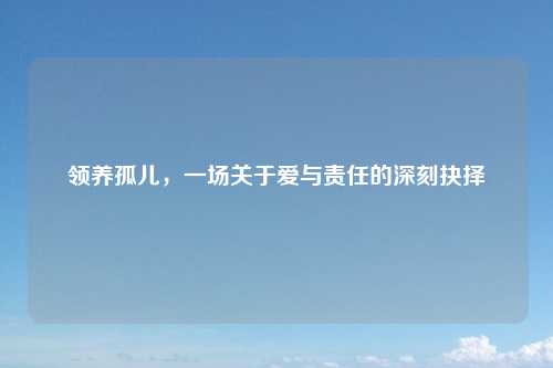 领养孤儿，一场关于爱与责任的深刻抉择