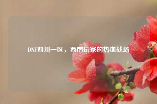 DNF四川一区，西南玩家的热血战场
